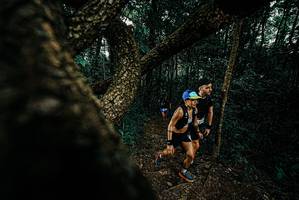 BIB: 
                            <button type="button" onclick="openModal(25694743)" class="btn btn-primary btn-sm float-right btn-popup" data-toggle="modal" data-target=".modal-high-quality">
                        <i class="fas fa-shopping-cart"></i> Add to Cart
                    </button>
                                            <button type="button" onclick="isThisMe(25694743, true)" class="btn btn-success btn-sm float-right btn-popup btn-isme hidden" data-toggle="tooltip" data-placement="bottom" title="นี่คือรูปของคุณใช่ไหม คลิกที่นี่เพื่อเอาเข้าอัลบั้ม">
                        <i class="fas fa-plus"></i> Add to album
                    </button>
                    <button type="button" onclick="isThisMe(25694743, false)" class="btn btn-warning btn-sm float-right btn-popup btn-isnotme hidden">
                        <i class="fas fa-ban"></i> Remove from album
                    </button>